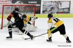 Photo hockey match Nice - Strasbourg  le 06/02/2018
