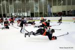 Photo hockey match Nice - Strasbourg  le 06/02/2018