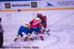 Photo hockey match Norway - Ukraine le 20/04/2019
