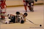 Photo hockey match Orlans - Chambry le 09/04/2011