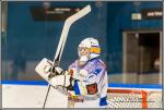 Photo hockey match Paris (FV) - Avignon le 23/01/2016