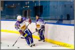 Photo hockey match Paris (FV) - Avignon le 23/01/2016