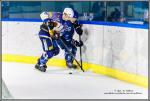 Photo hockey match Paris (FV) - Avignon le 23/01/2016