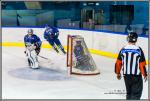 Photo hockey match Paris (FV) - Avignon le 23/01/2016