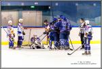 Photo hockey match Paris (FV) - Avignon le 23/01/2016