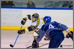 Photo hockey match Paris (FV) - Chambry le 18/02/2017