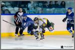 Photo hockey match Paris (FV) - Chambry le 18/02/2017