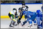 Photo hockey match Paris (FV) - Chambry le 18/02/2017