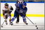 Photo hockey match Paris (FV) - Chambry le 18/02/2017