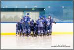 Photo hockey match Paris (FV) - Clermont-Ferrand le 28/11/2015