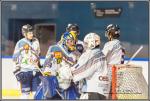 Photo hockey match Paris (FV) - Clermont-Ferrand le 28/11/2015