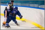 Photo hockey match Paris (FV) - Clermont-Ferrand le 28/11/2015