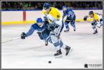 Photo hockey match Paris (FV) - Dunkerque le 14/11/2017