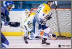 Photo hockey match Paris (FV) - Dunkerque le 14/11/2017