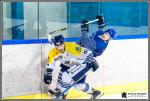 Photo hockey match Paris (FV) - Dunkerque le 14/11/2017