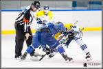 Photo hockey match Paris (FV) - Dunkerque le 14/11/2017