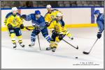 Photo hockey match Paris (FV) - Evry / Viry le 24/09/2016
