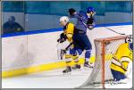 Photo hockey match Paris (FV) - Evry / Viry le 24/09/2016