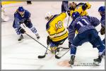 Photo hockey match Paris (FV) - Evry / Viry le 24/09/2016