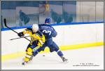 Photo hockey match Paris (FV) - Evry / Viry le 24/09/2016