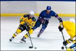Photo hockey match Paris (FV) - Evry / Viry le 23/12/2017