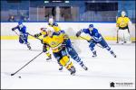 Photo hockey match Paris (FV) - Evry / Viry le 24/11/2018