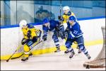 Photo hockey match Paris (FV) - Evry / Viry le 24/11/2018