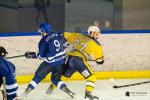 Photo hockey match Paris (FV) - Evry / Viry le 30/11/2019