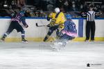 Photo hockey match Paris (FV) - Evry / Viry le 13/11/2021