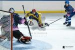 Photo hockey match Paris (FV) - Evry / Viry le 13/11/2021