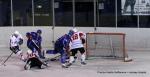 Photo hockey match Paris (FV) - La Roche-sur-Yon le 24/04/2010