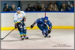 Photo hockey match Paris (FV) - Limoges le 05/03/2016