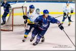 Photo hockey match Paris (FV) - Limoges le 05/03/2016