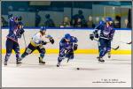 Photo hockey match Paris (FV) - Limoges le 05/03/2016