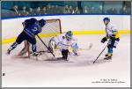 Photo hockey match Paris (FV) - Limoges le 05/03/2016