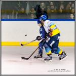 Photo hockey match Paris (FV) - Limoges le 05/03/2016