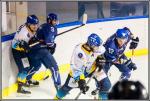 Photo hockey match Paris (FV) - Limoges le 05/03/2016