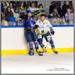 Photo hockey match Paris (FV) - Limoges le 05/03/2016