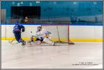 Photo hockey match Paris (FV) - Limoges le 05/03/2016