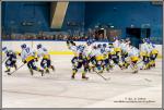 Photo hockey match Paris (FV) - Limoges le 05/03/2016