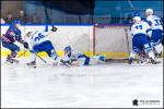 Photo hockey match Paris (FV) - Marseille le 17/02/2018