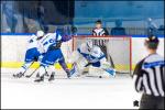 Photo hockey match Paris (FV) - Marseille le 17/02/2018