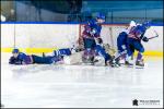 Photo hockey match Paris (FV) - Marseille le 17/02/2018