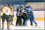 Photo hockey match Paris (FV) - Meudon le 16/01/2016