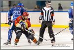 Photo hockey match Paris (FV) - Meudon le 16/01/2016