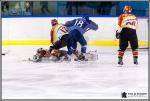 Photo hockey match Paris (FV) - Meudon le 15/01/2017