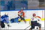 Photo hockey match Paris (FV) - Meudon le 15/01/2017