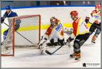 Photo hockey match Paris (FV) - Meudon le 15/01/2017