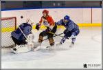 Photo hockey match Paris (FV) - Meudon le 15/01/2017