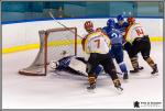 Photo hockey match Paris (FV) - Meudon le 15/01/2017